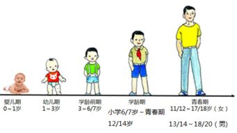 身高遗憾，成长中被遗忘的角落