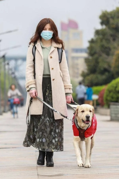 导盲犬与核酸插队事件，尊重与理解的力量彰显