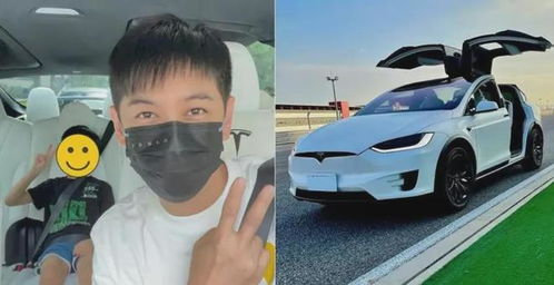 林志颖车祸事件深度剖析与反思