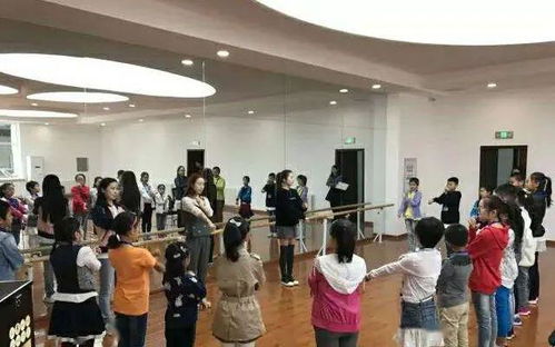 广播电视大学，知识与梦想的璀璨舞台