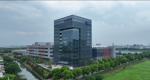 重庆网建，城市数字化发展的强劲动力