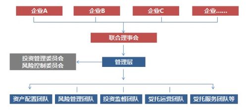 探索三好公开课，开启教育创新与成长新路径
