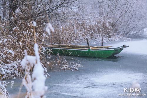 河南大雪，绘就银装素裹壮美画卷