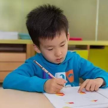 大象网，开启数字世界的无限可能之旅