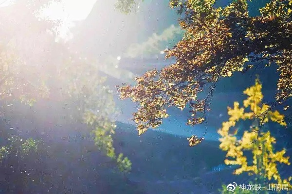 回暖与回南交织下的生活起伏旋律