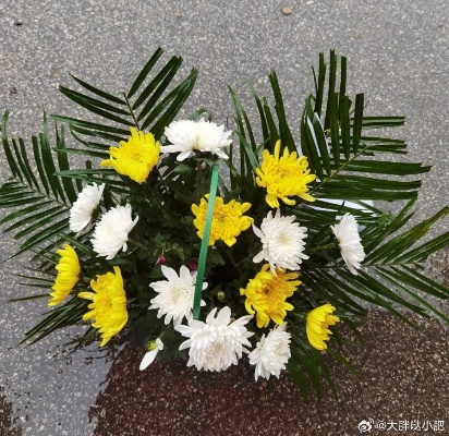 95后女孩举办活着的葬礼，与好友共赴生命之约的独特告别
