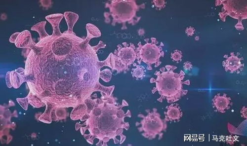 警惕印度变种病毒全球蔓延