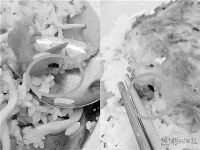 公司食堂现异物，男子疑吃出牙