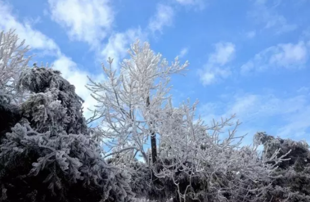 南方下雪，惊艳自然奇观现