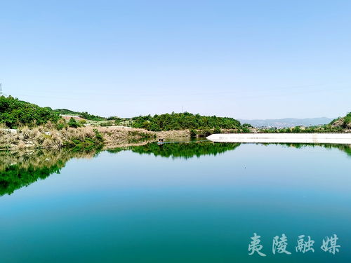 守护牛山湖，捍卫生态之美