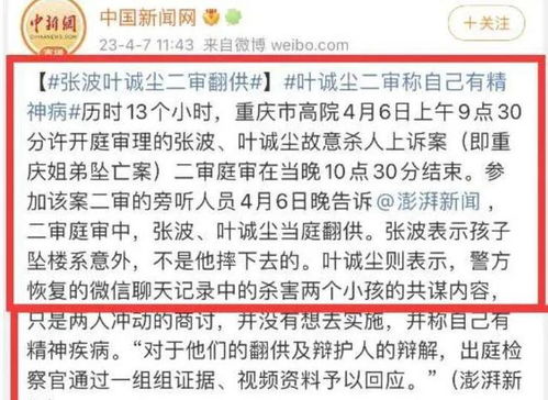 重庆姐弟坠亡案二审开庭，正义追寻与真相再审视