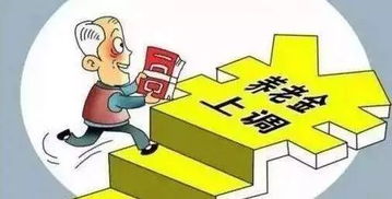 养老金发放，民生基石之重