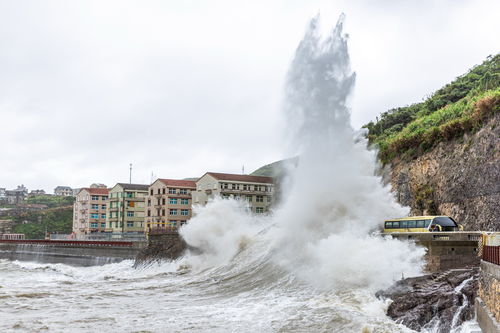 台风贝碧嘉逼近浙江 多地严阵以待迎战强风暴雨