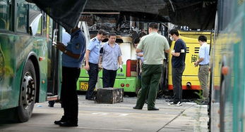 厦门公交车爆炸案，悲剧背后的深刻反思
