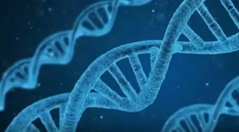 基因 190，生命奥秘的关键之匙