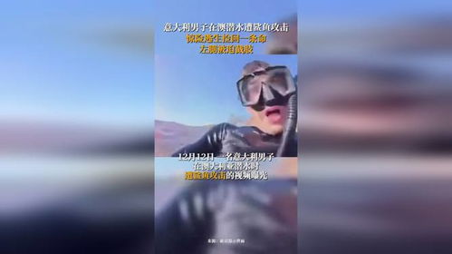 49岁演员佩里命丧鲨口，海洋险境折射生命无常