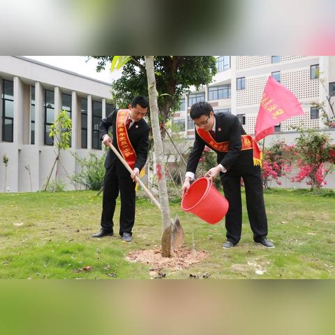 探索世界新闻，全球信息纽带的构建与连接