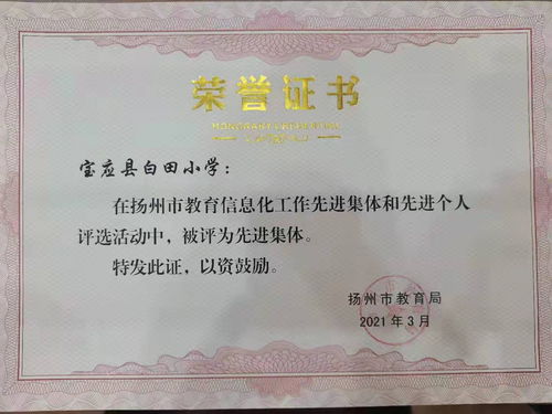 深圳教育信息网，教育资源共享与交流的坚实桥梁