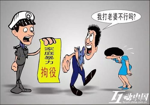 被家暴男子，抗争家暴、否认炒作并渴望离婚退彩礼