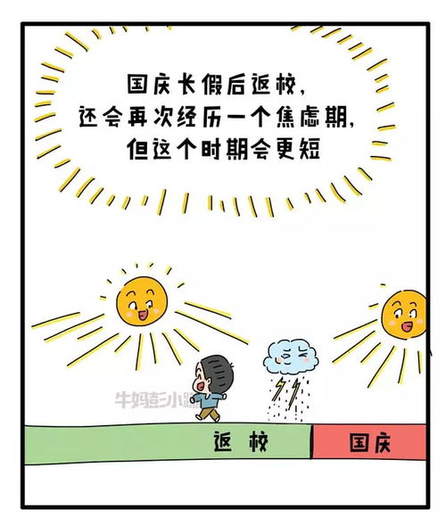 677 分背后，淡定与成长的交织