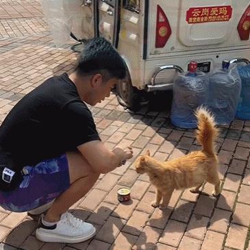 三轮车、梦想与母女三人的流浪征程