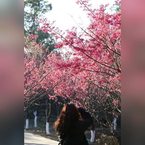春日颜值促经济，唤醒沉睡美丽产业