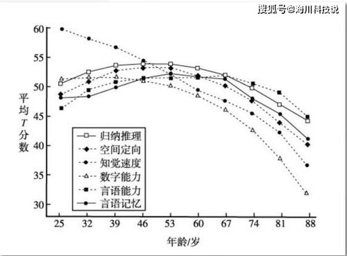 数字针脚，柯桥信息港与虚拟布匹上的人性救赎