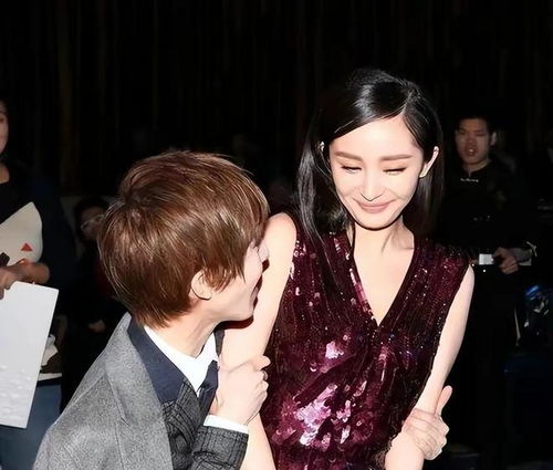 娱乐圈风云与星闻背后的探秘