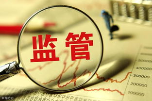 数字时代税收正义的挑战与重构，基于薇娅偷税案的分析