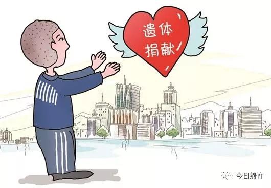 身患绝症老人的猥亵行为，社会应对的缺失与反思之思考