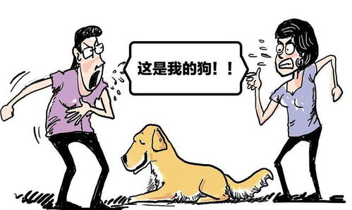 马桶噪音引发邻里纷争，业主遭邻居起诉