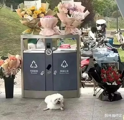 七夕垃圾桶寻宝行为可能涉嫌侵占罪，律师提醒公众注意法律风险