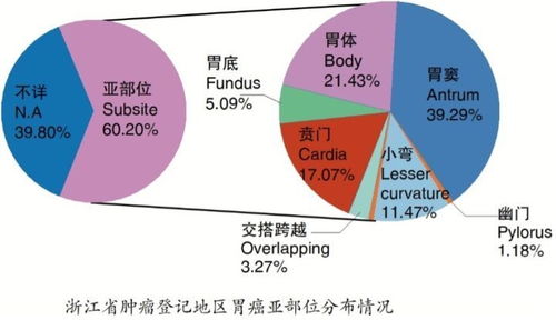 年轻人胃癌发病率飙升，健康警钟长鸣，警惕风险倍增