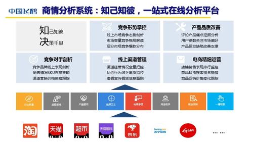 赛尔网络有限公司，数字化转型的先锋领导者
