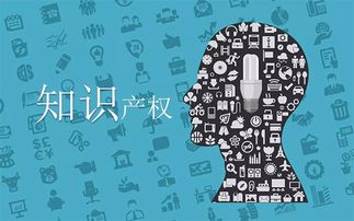 专利权律师，创新知识产权的坚实守护者