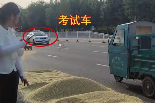 大妈占科三考场晒麦致学员挂科频发