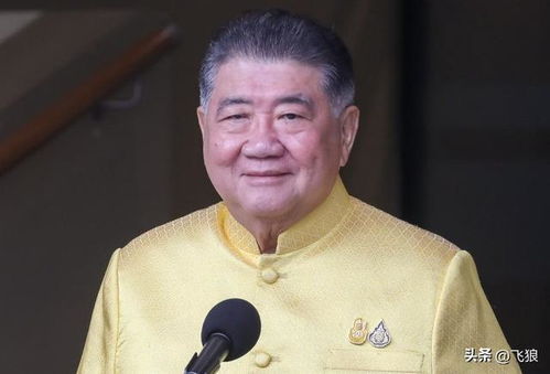 泰国内阁任命普坦为代理总理，新领导面临新挑战