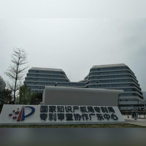 国家专利局网，专利信息的权威来源