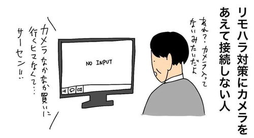24小时更新
