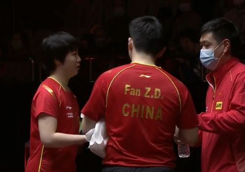 樊振东德甲首秀遭遇二连败，挑战与机遇交织之际
