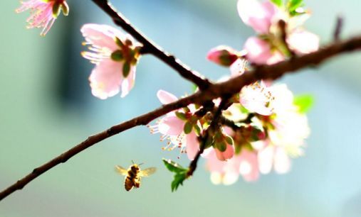 咬春，立春时节的传统习俗