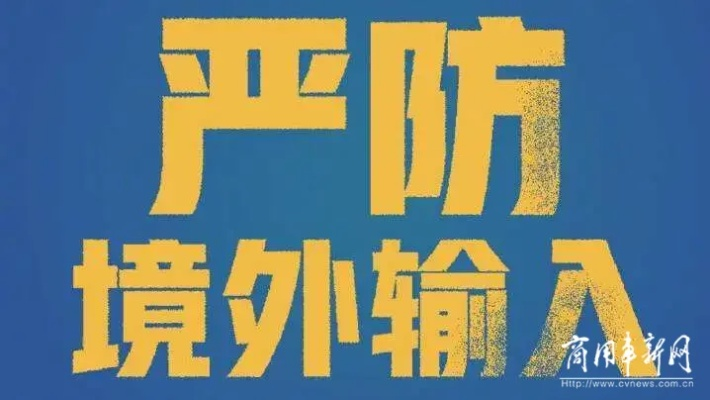 河南境外输入病例防控，严峻挑战与积极应对