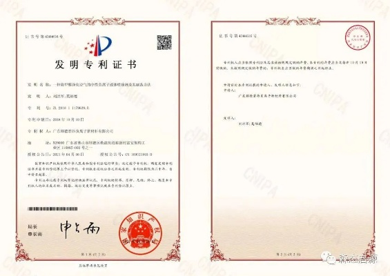 国家专利网，推动创新与知识产权发展的核心引擎