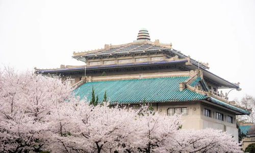 探寻武汉大学前身的历史脉络及其深远意义