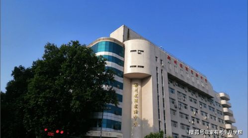 郑州半岛孕味，爱与希望的温暖孕育之所
