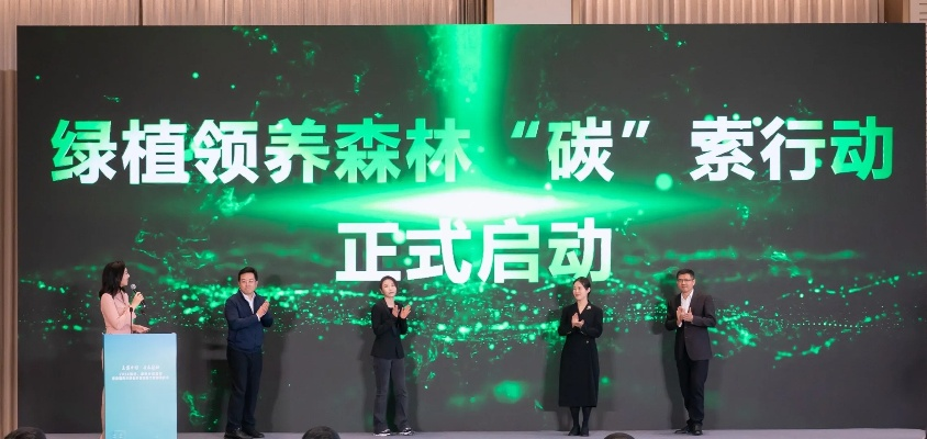 无铬时代，绿色新纪元的探索之路