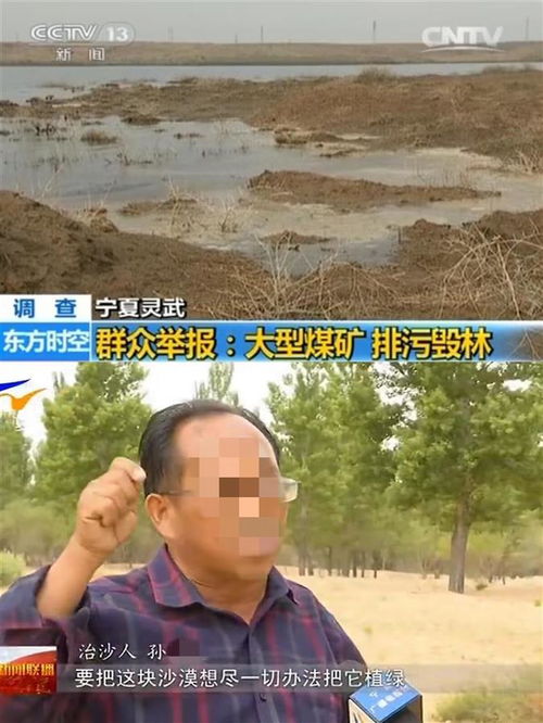 万亩树木因煤矿断水，林场主跪地求水，生存与生态陷入困境