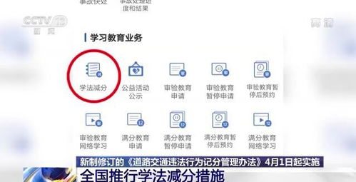 交通违法记分政策调整，新篇章开启（4月1日起实施）