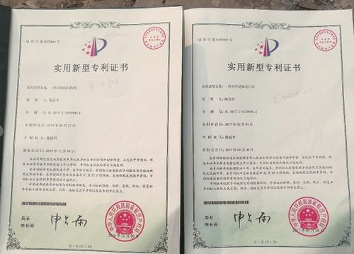 国家专利查询网，专利信息的快速便捷通道