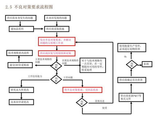 审查指南，规范流程与保障质量的核心要素